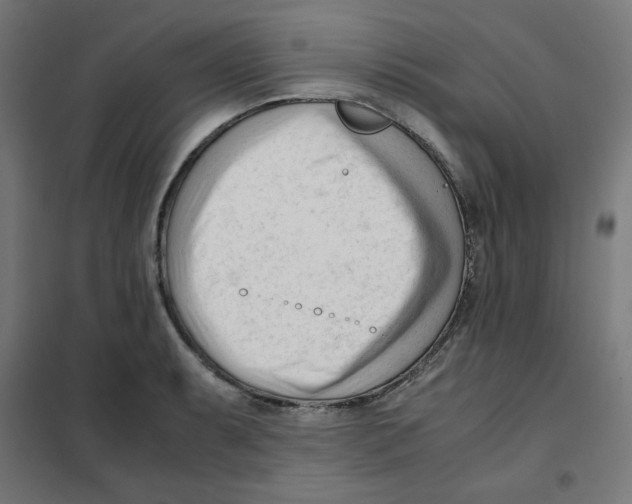 X0000101661087200808071015