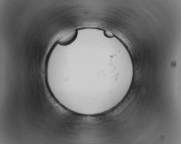 X0000101661088200808071015