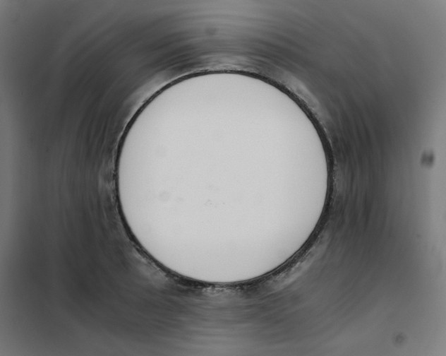 X0000101661089200808071015