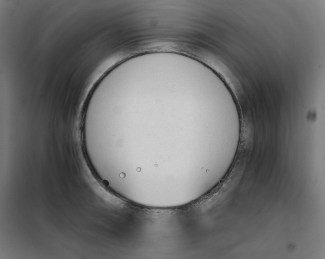 X0000101661090200808071015