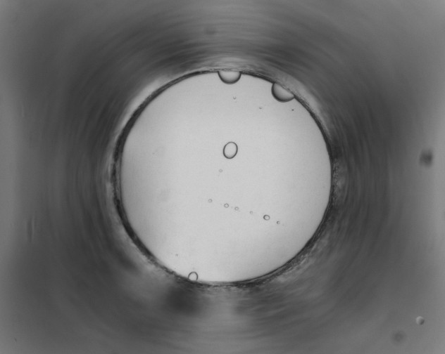 X0000101661091200808071015