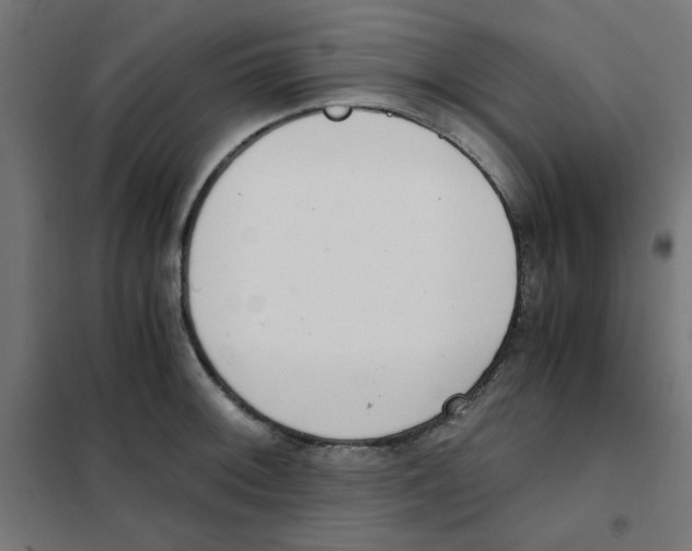 X0000101661092200808071015