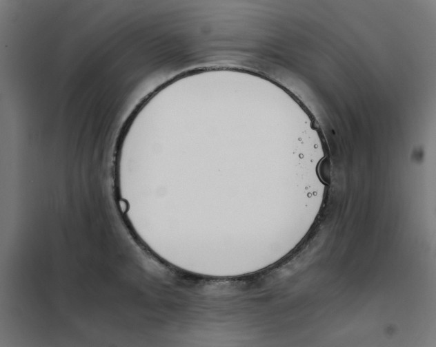 X0000101661093200808071015