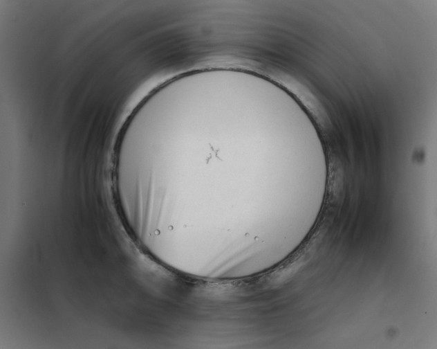 X0000101661094200808071015