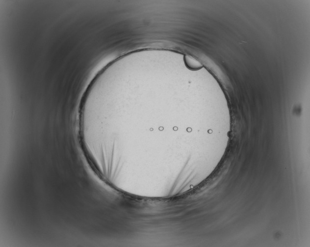 X0000101661095200808071015