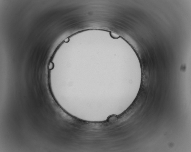 X0000101661096200808071015