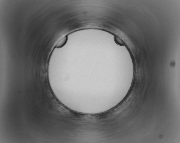 X0000101661097200808071015