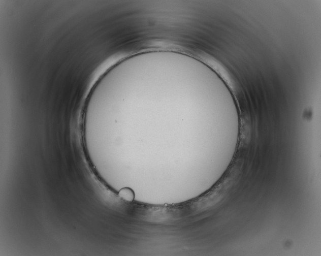 X0000101661098200808071015