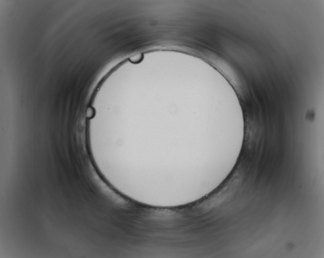 X0000101661100200808071015