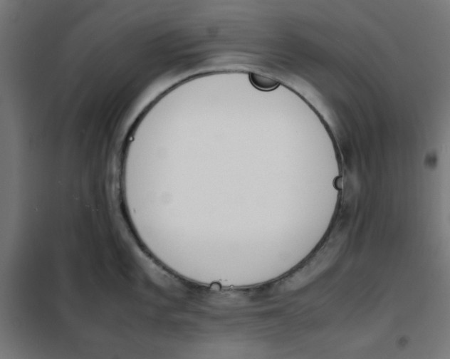X0000101661101200808071015