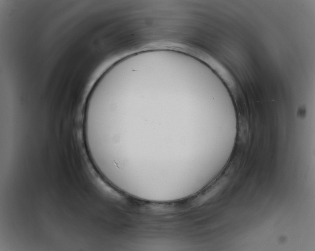 X0000101661102200808071015