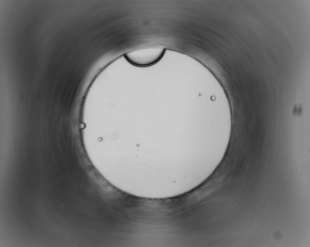 X0000101661104200808071015