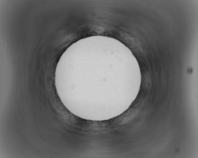 X0000101661105200808071014