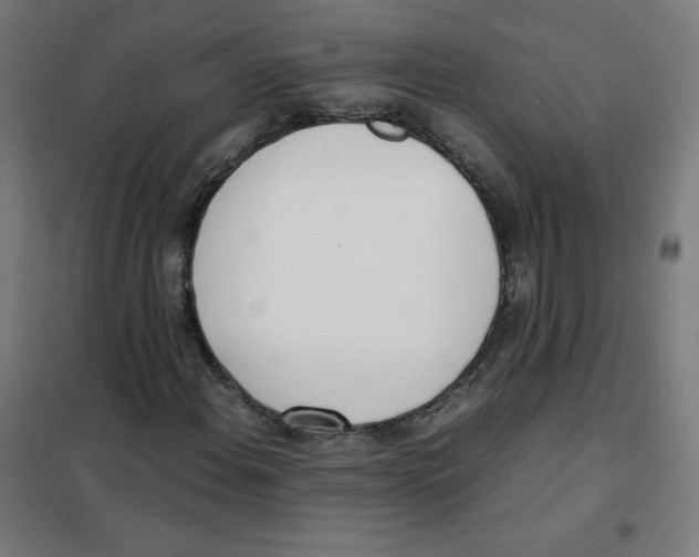 X0000101661108200808071014