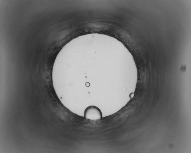 X0000101661109200808071014