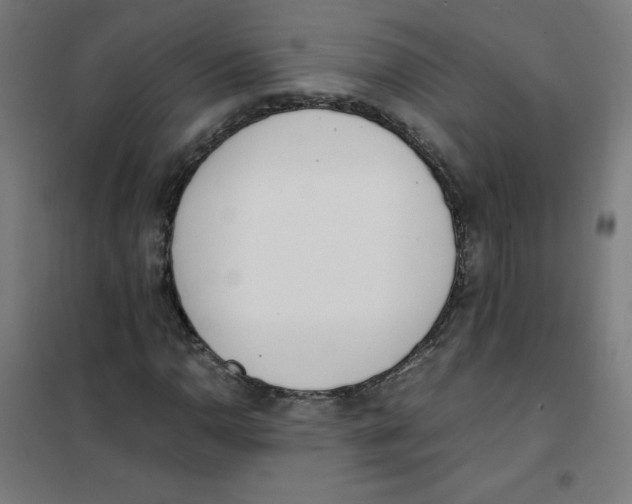 X0000101661110200808071014