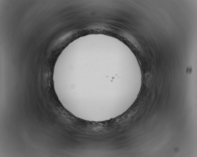 X0000101661111200808071014