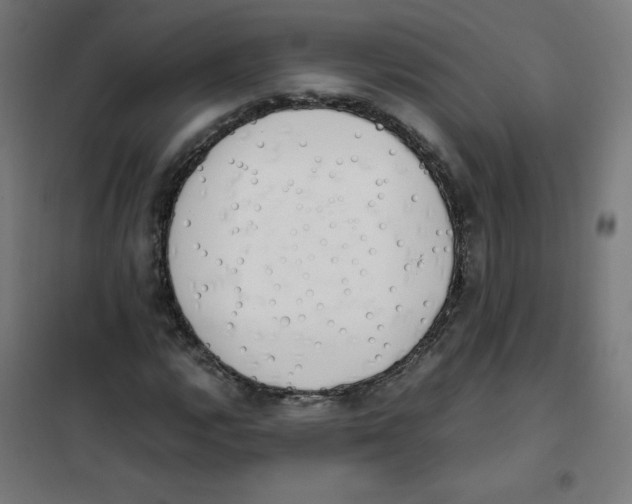 X0000101661112200808071014