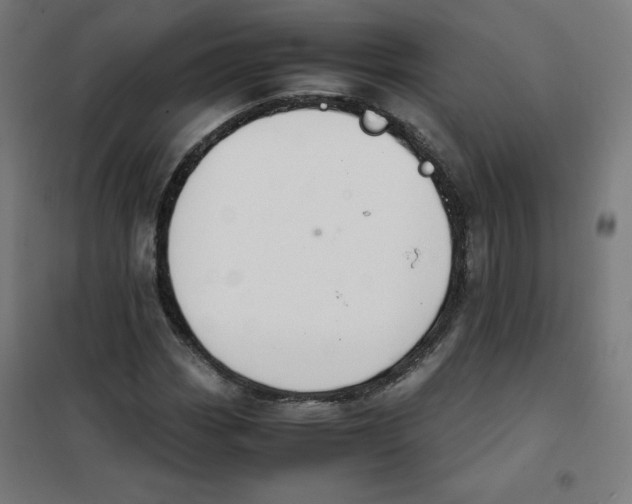 X0000101661113200808071014