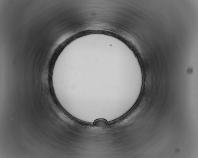 X0000101661114200808071014