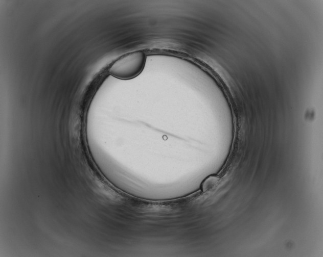 X0000101661115200808071014