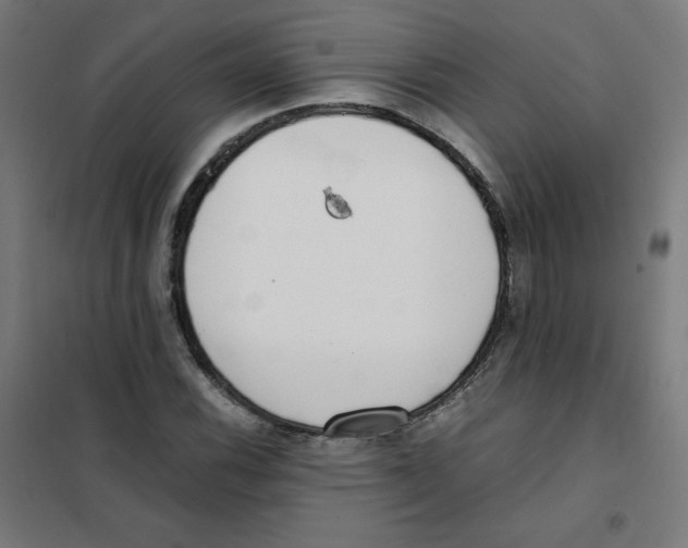 X0000101661116200808071014