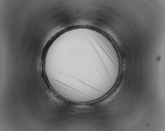 X0000101661117200808071014
