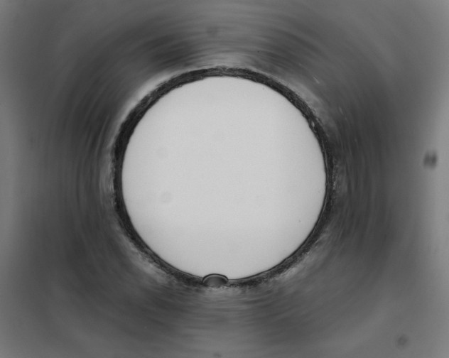 X0000101661118200808071014