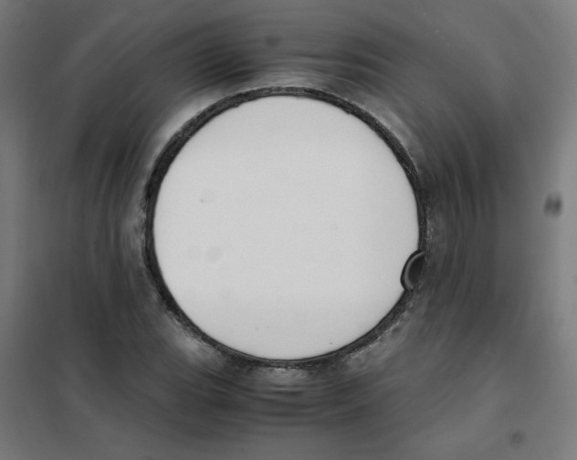 X0000101661119200808071014