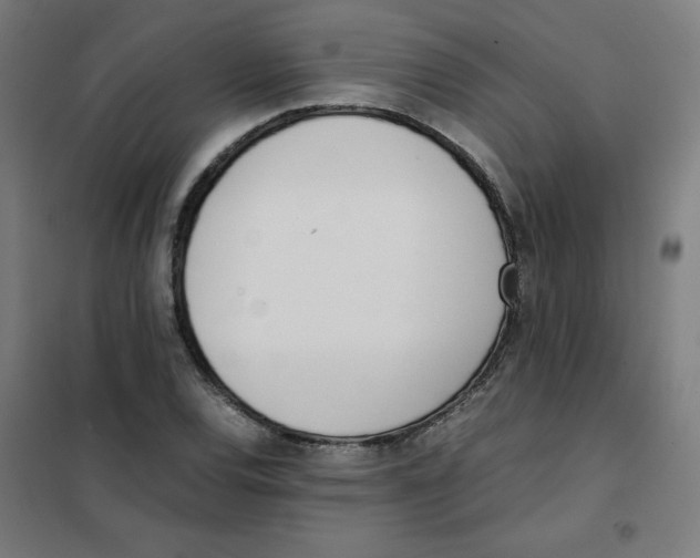 X0000101661120200808071014