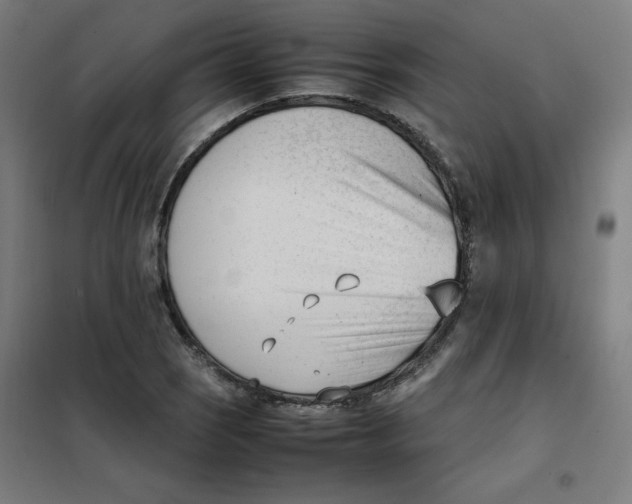 X0000101661121200808071014