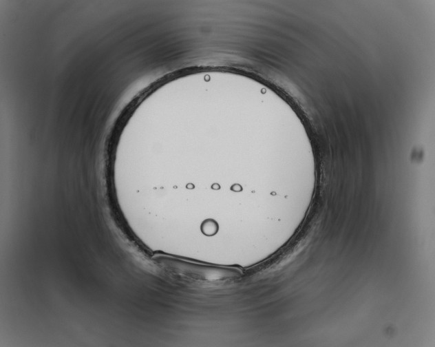 X0000101661122200808071015