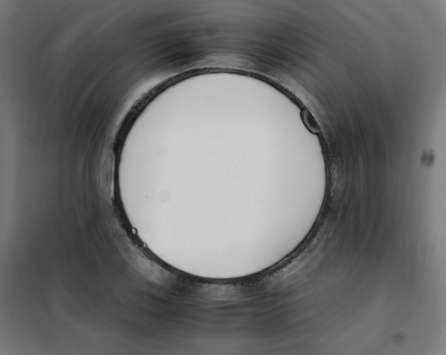 X0000101661123200808071015