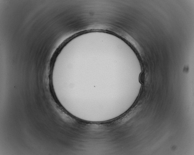 X0000101661124200808071015