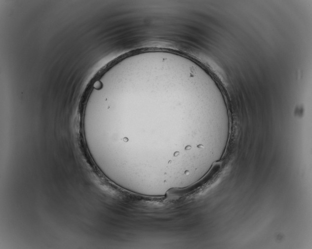 X0000101661125200808071015