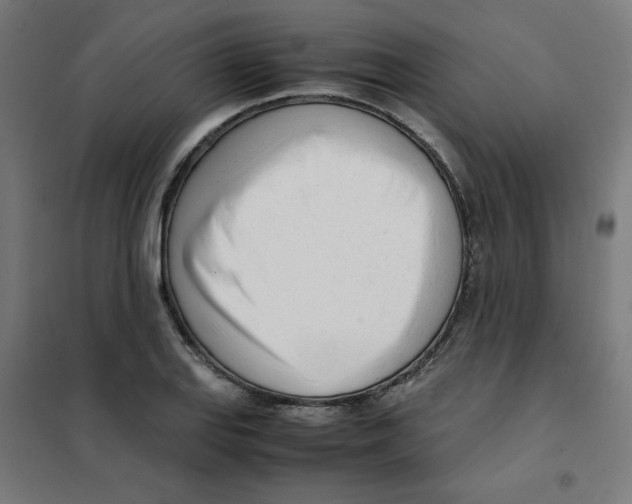 X0000101661127200808071015