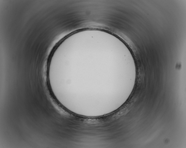 X0000101661128200808071015