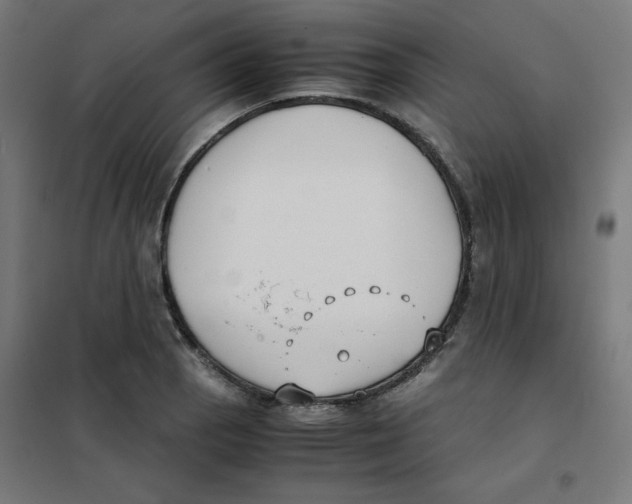 X0000101661129200808071015