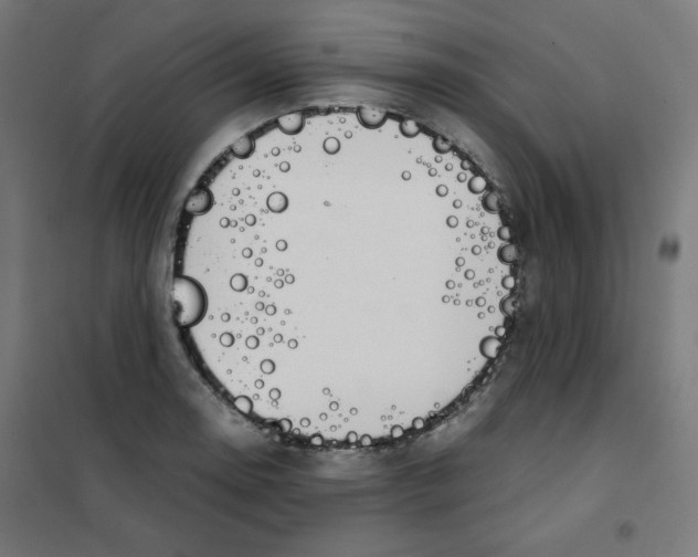 X0000101661130200808071015