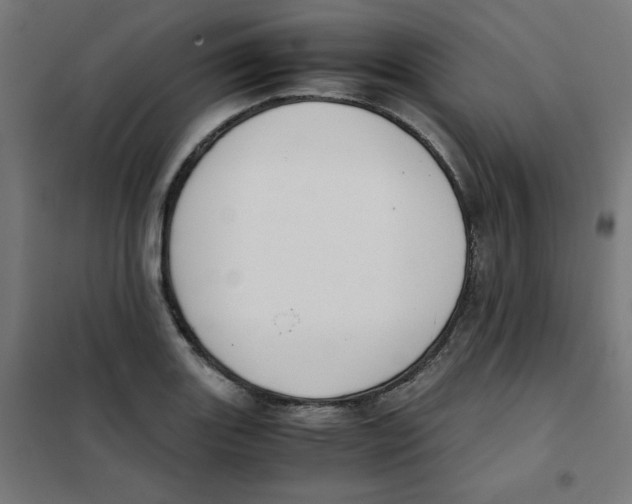 X0000101661131200808071015