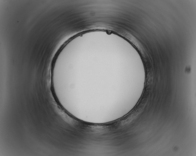 X0000101661132200808071015