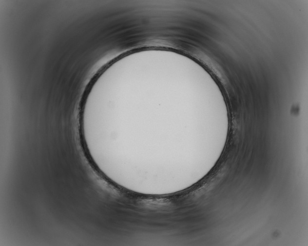 X0000101661133200808071015