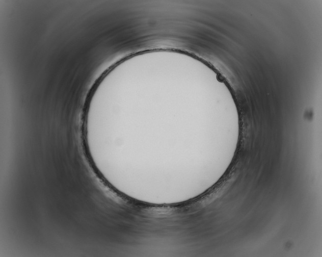 X0000101661134200808071015