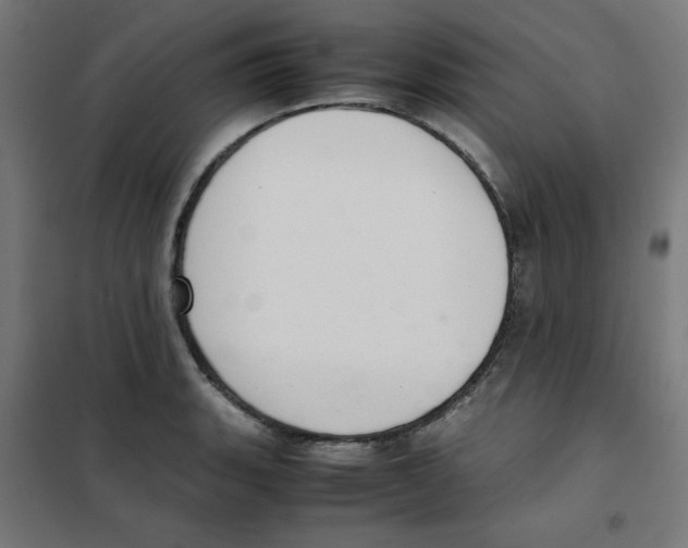 X0000101661135200808071015