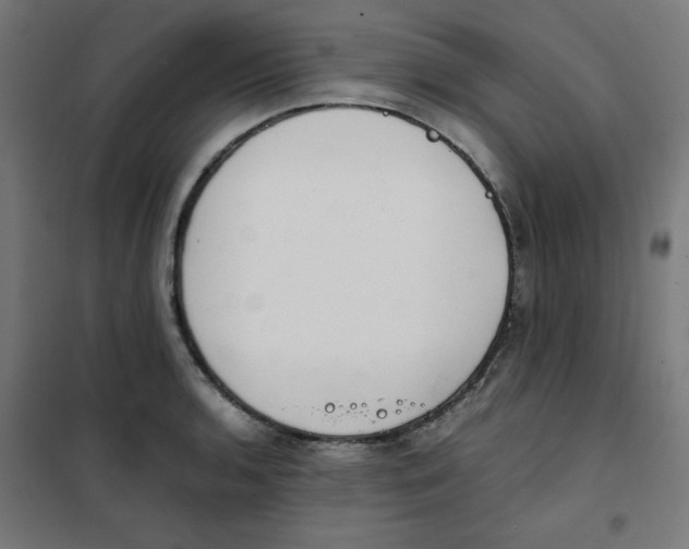 X0000101661136200808071015