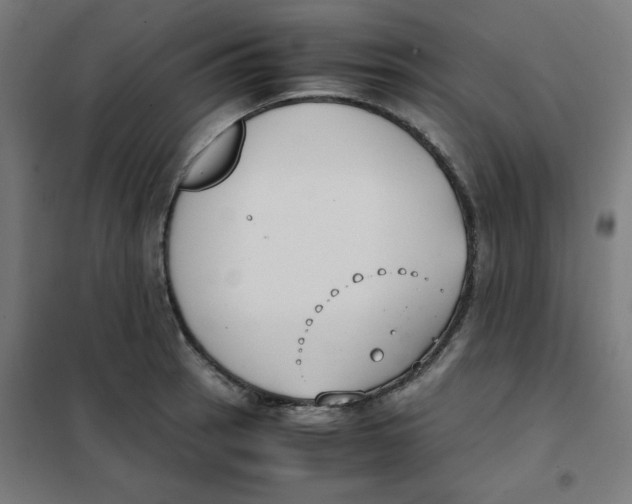 X0000101661137200808071015