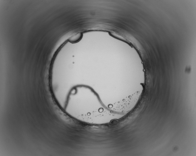 X0000101661138200808071015