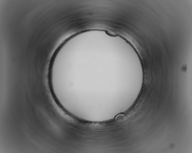 X0000101661139200808071015