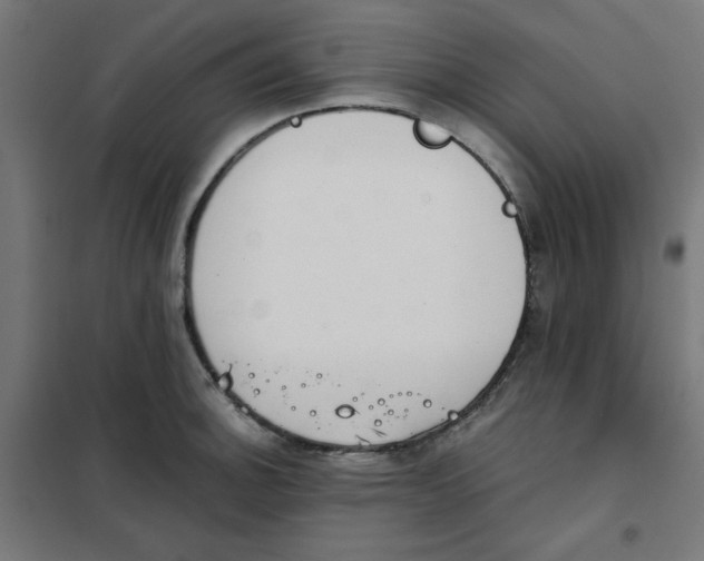 X0000101661140200808071015
