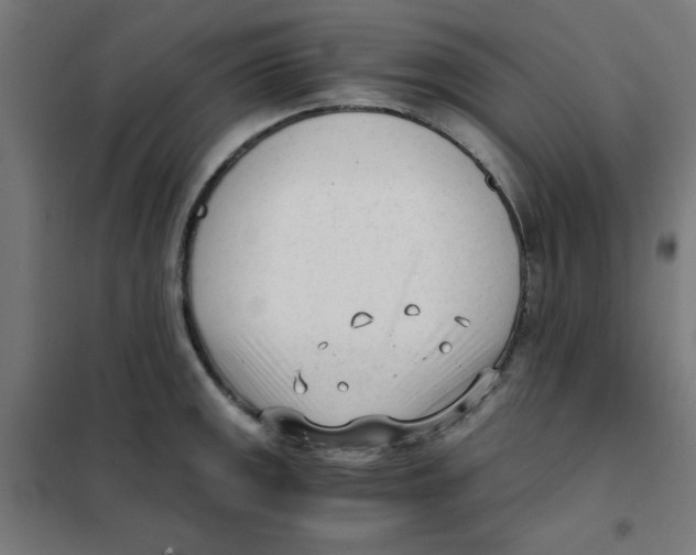 X0000101661141200808071015